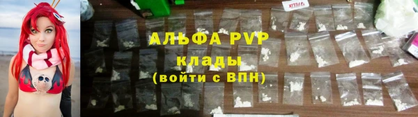 гашик Аркадак
