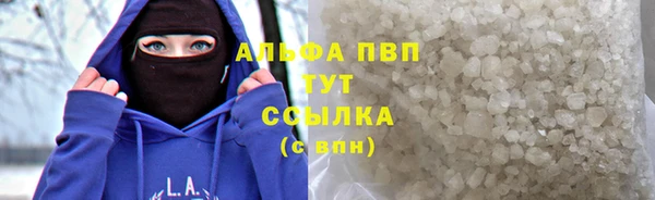 гашик Аркадак