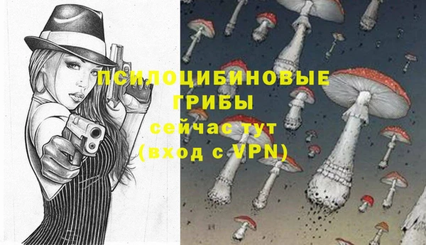 тгк Армянск