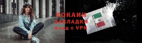 гашик Аркадак