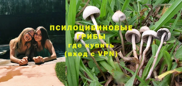 тгк Армянск