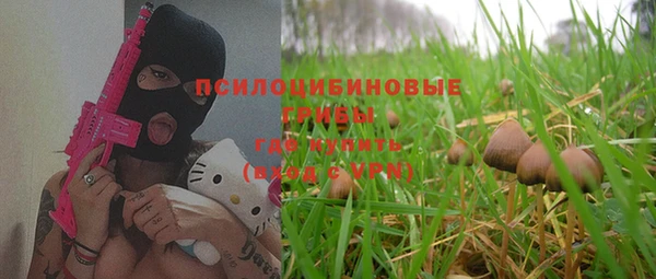 гашик Аркадак