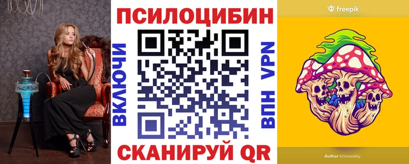 Купить закладки  Карабаново  Псилоцибиновые грибы MAGIC MUSHROOMS 